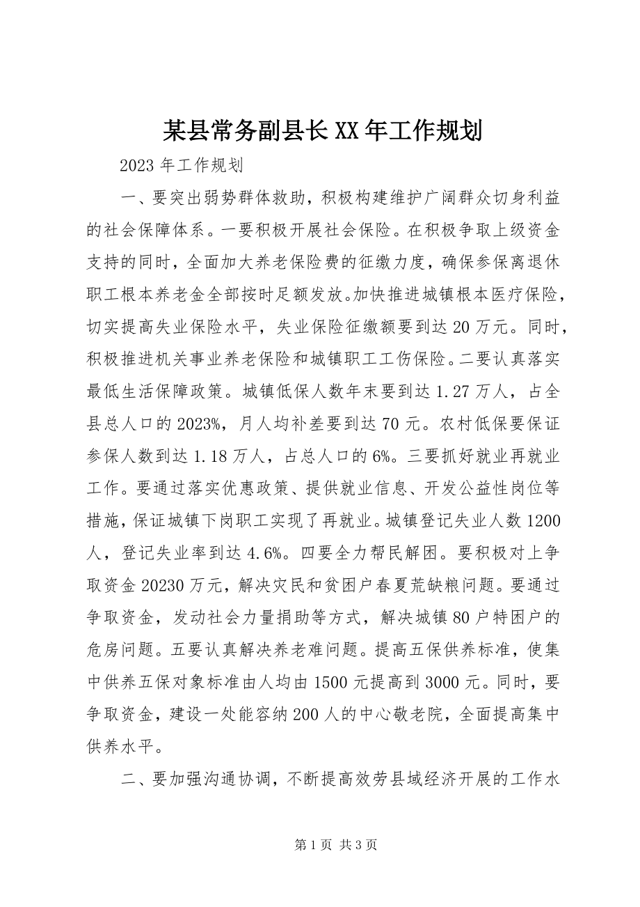 2023年xx县常务副县长工作规划2.docx_第1页