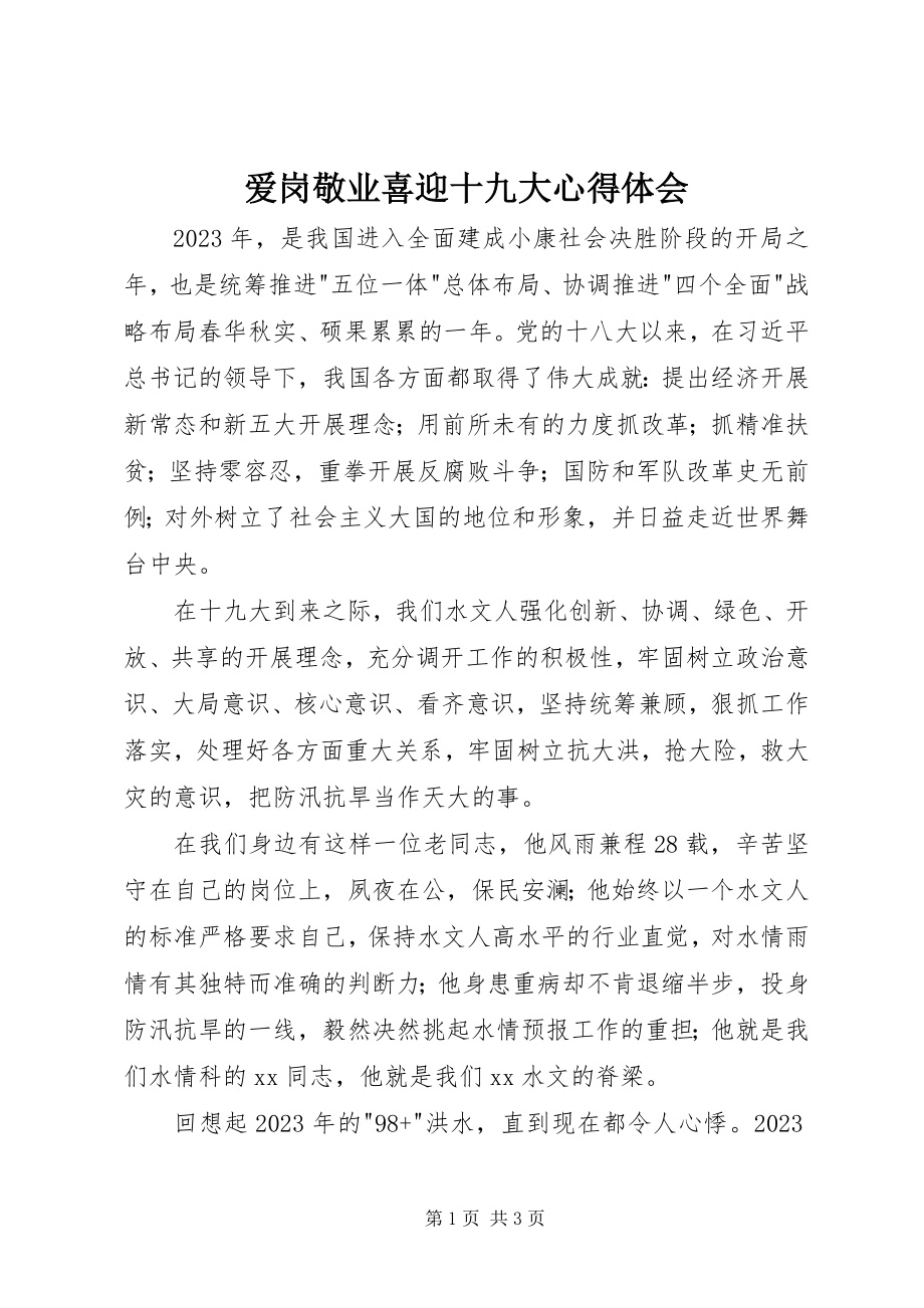 2023年爱岗敬业喜迎十九大心得体会新编.docx_第1页