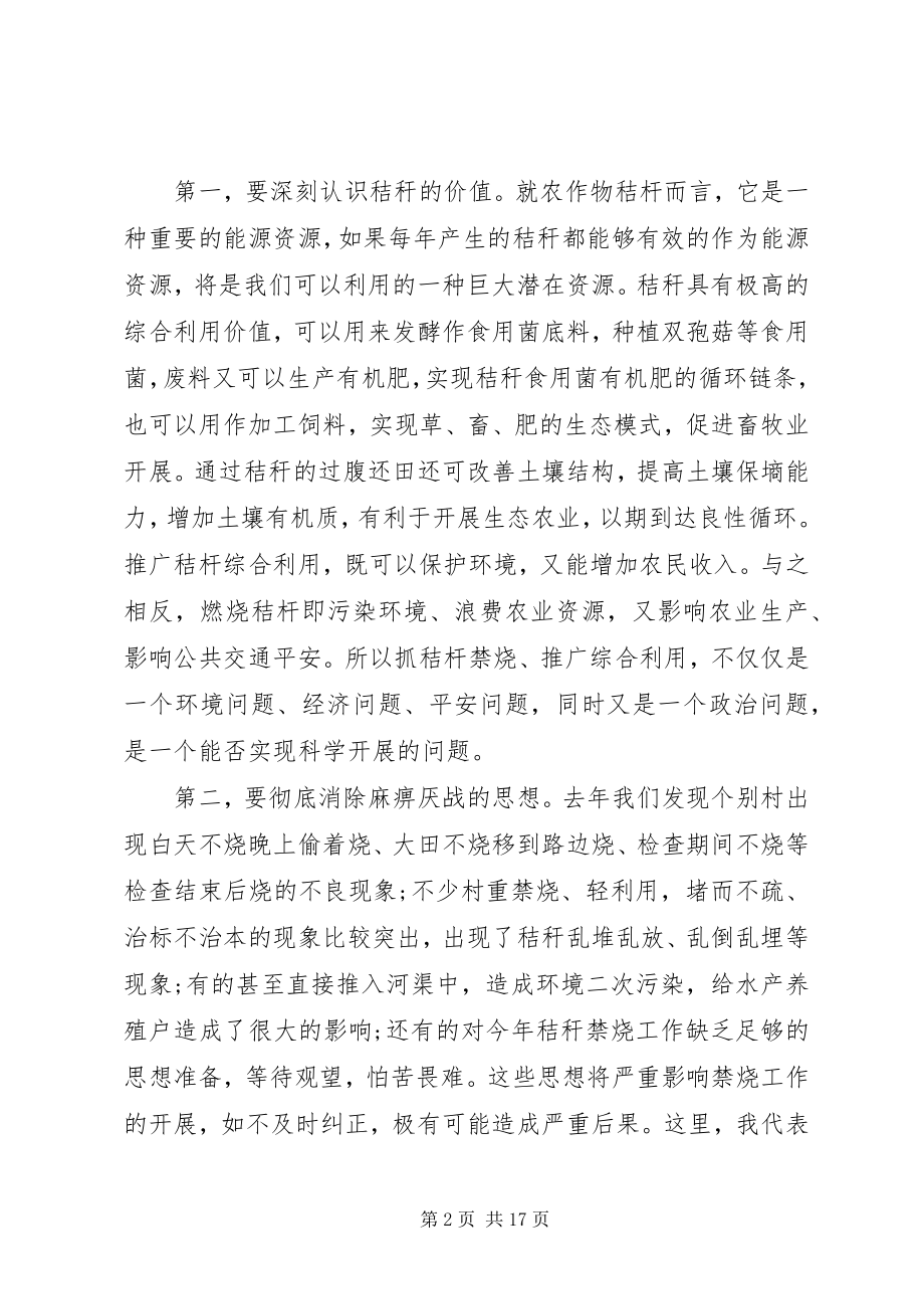 2023年秸秆禁烧工作领导致辞.docx_第2页