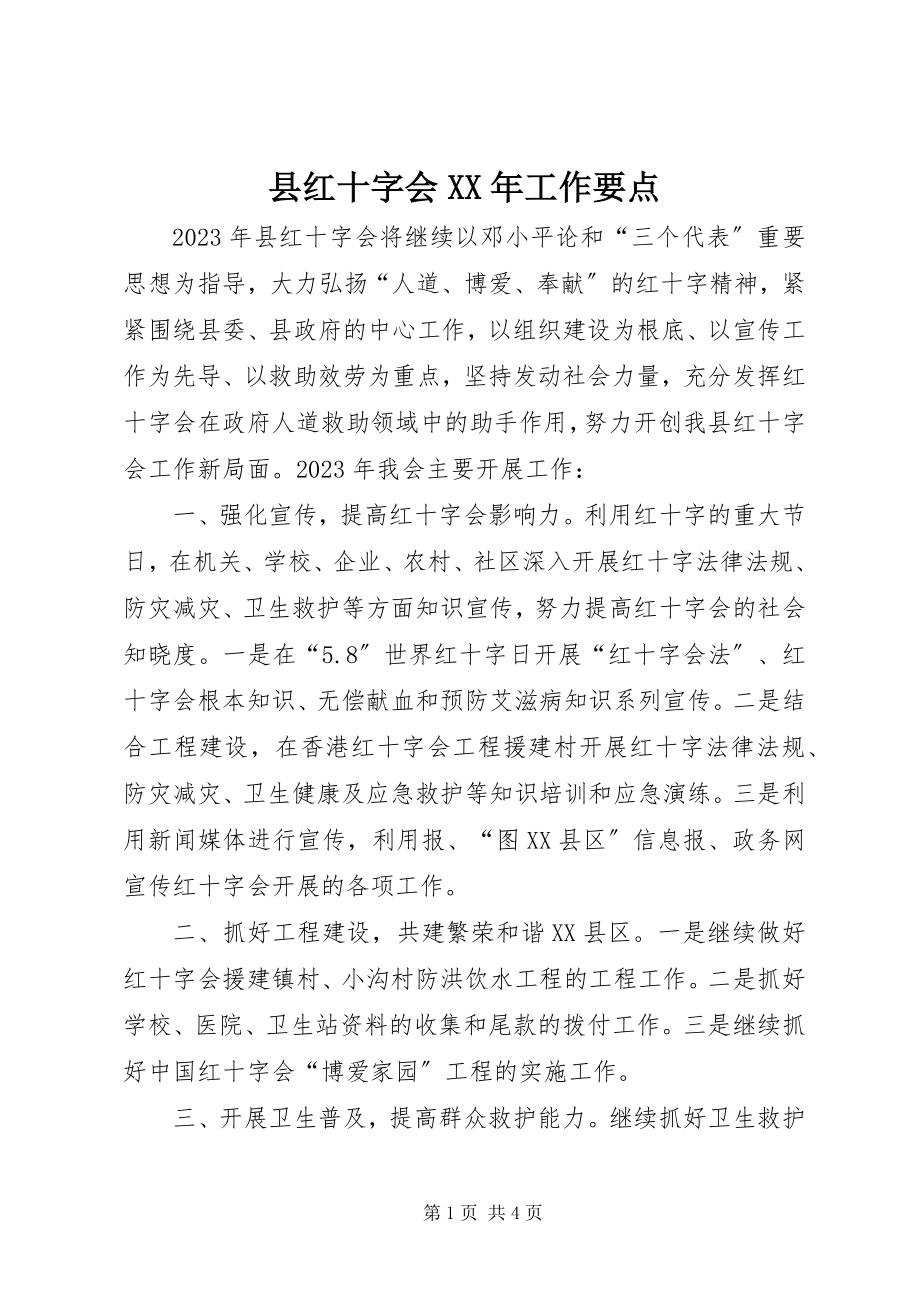 2023年县红十字会工作要点.docx_第1页