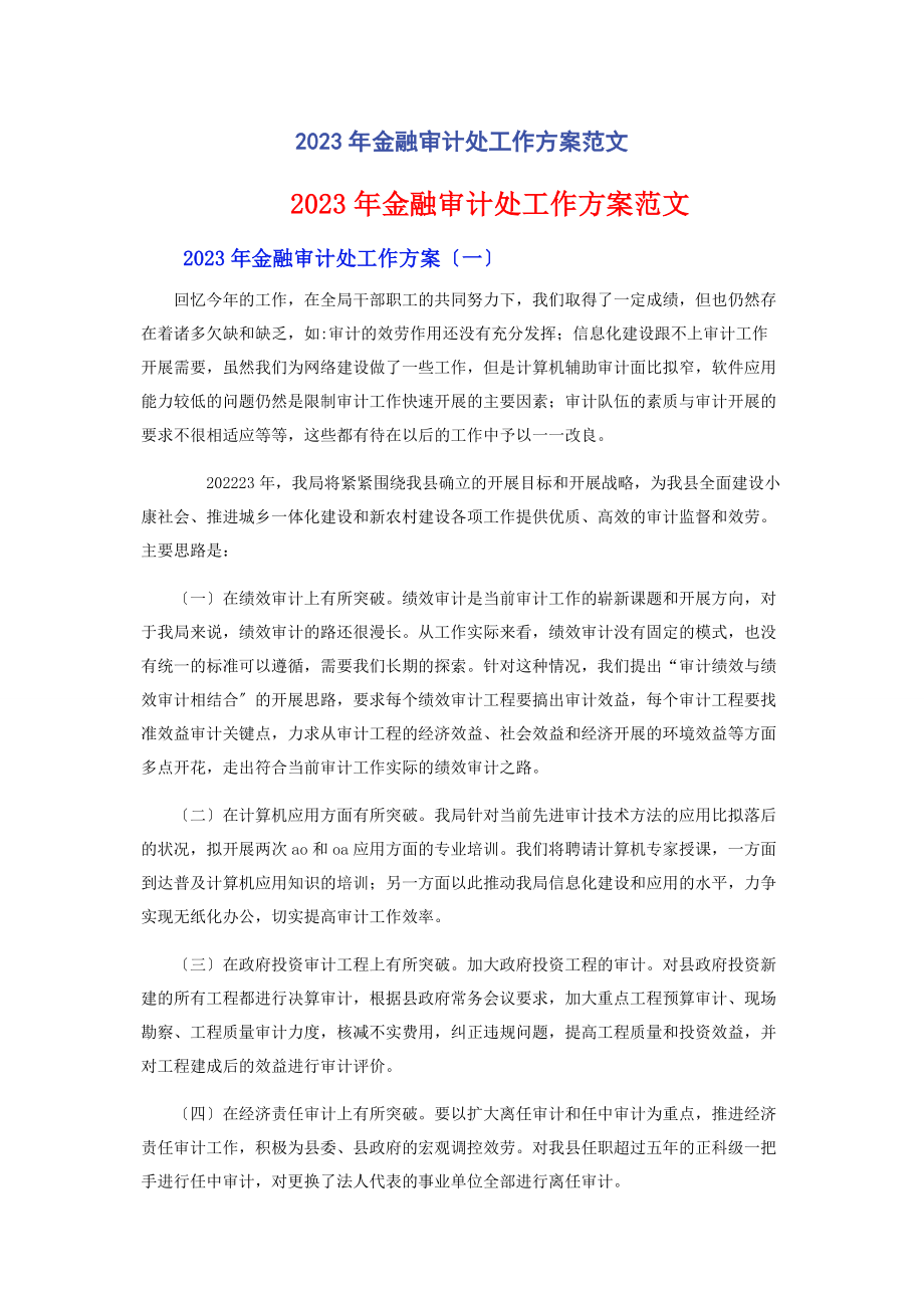 2023年金融审计处工作计划.docx_第1页