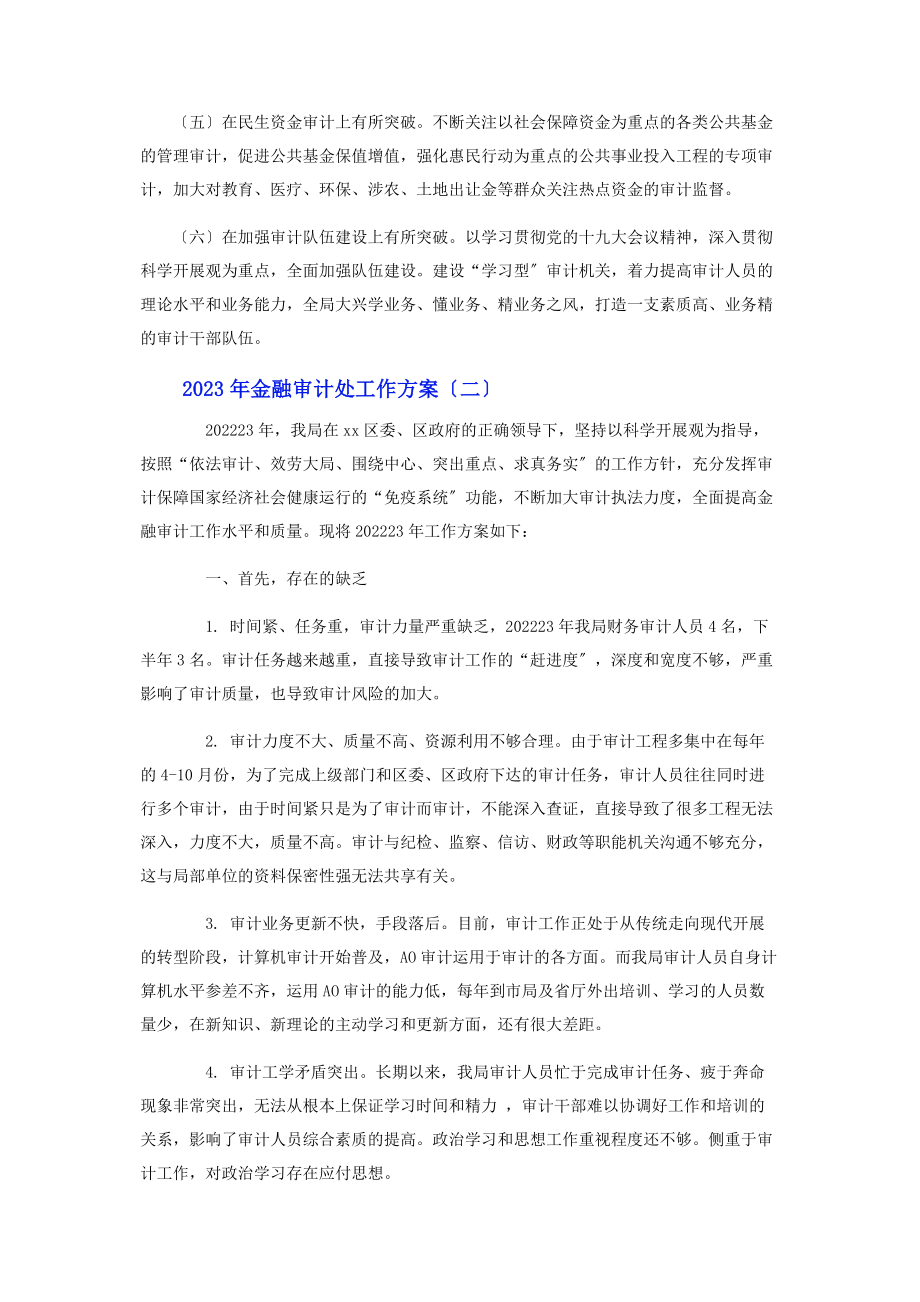 2023年金融审计处工作计划.docx_第2页