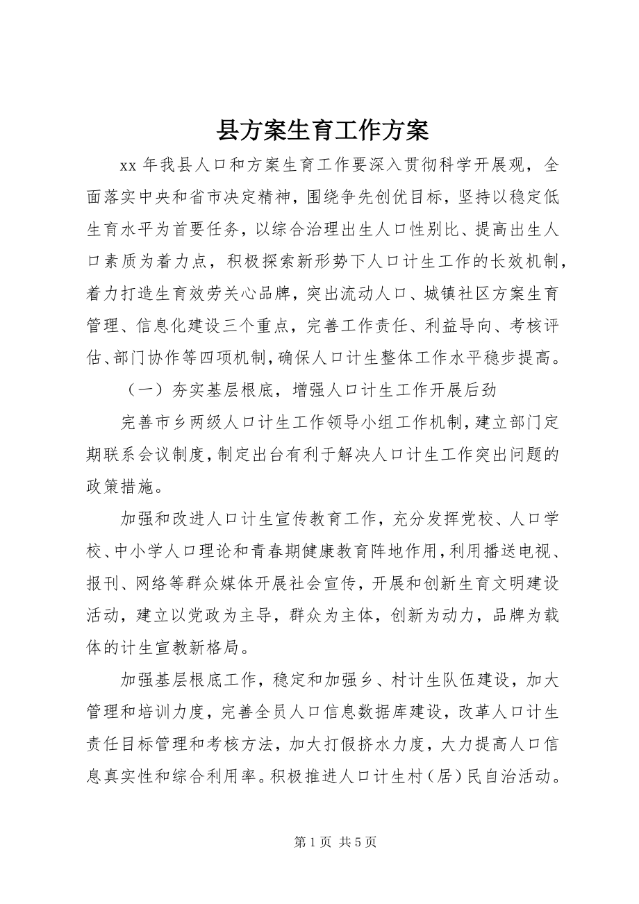 2023年县计划生育工作计划.docx_第1页