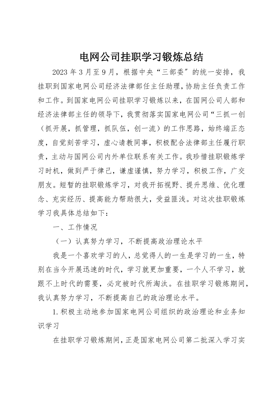 2023年电网公司挂职学习锻炼总结新编.docx_第1页