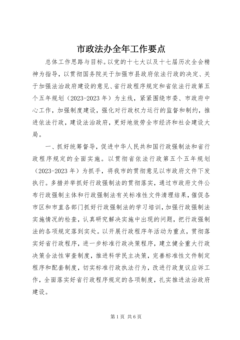 2023年市政法办全年工作要点.docx_第1页