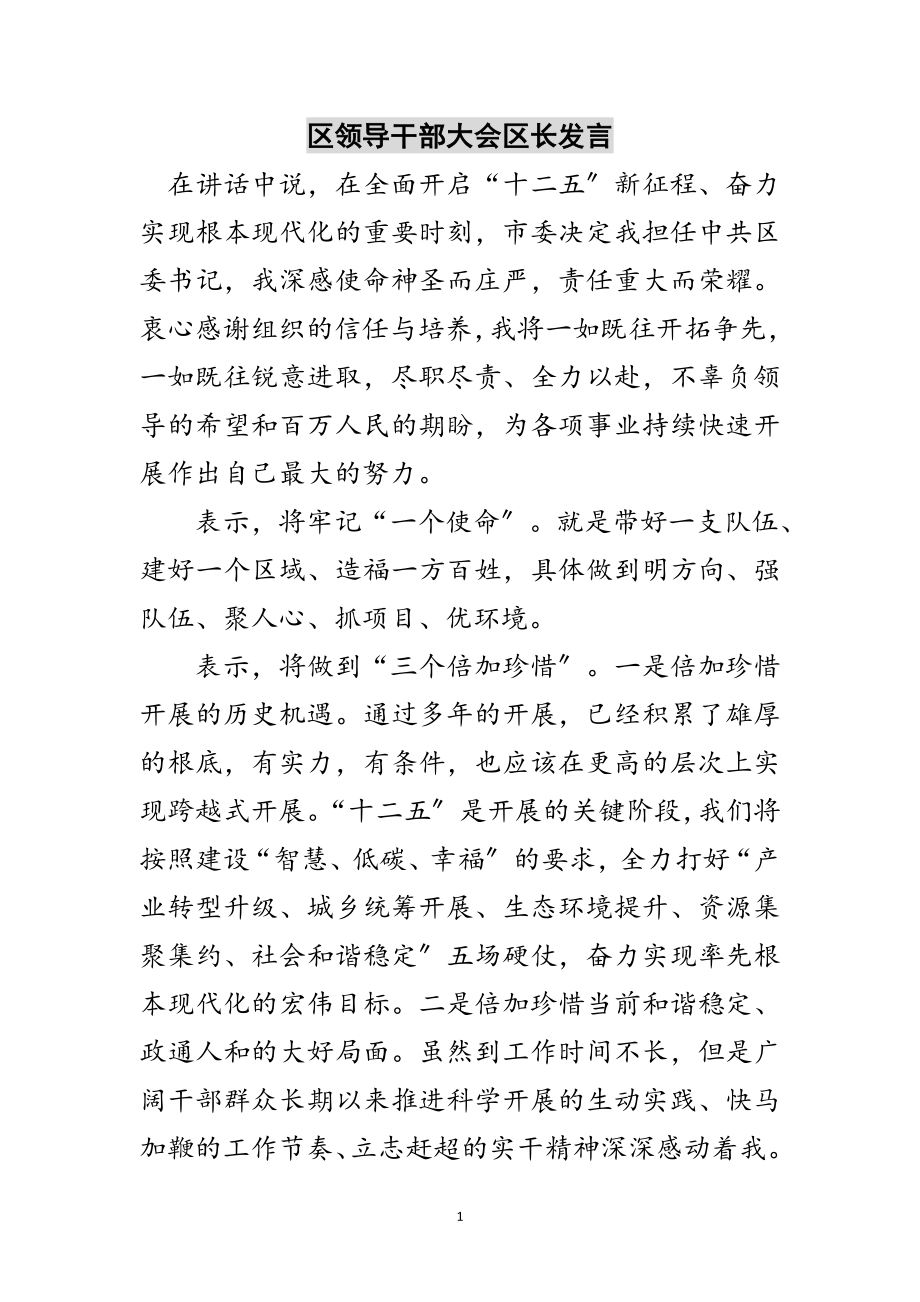 2023年区领导干部大会区长发言范文.doc_第1页