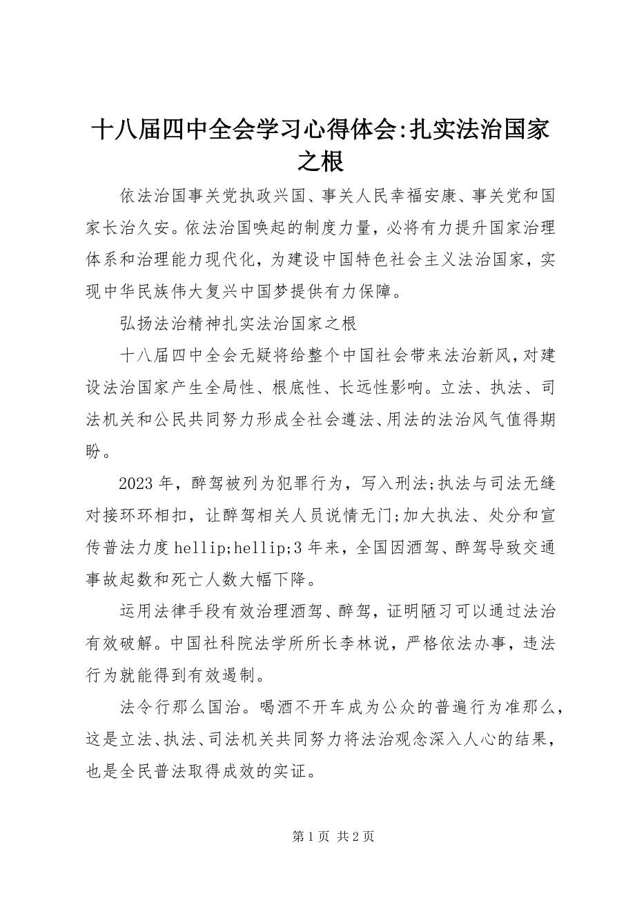 2023年十八届四中全会学习心得体会扎实法治国家之根.docx_第1页