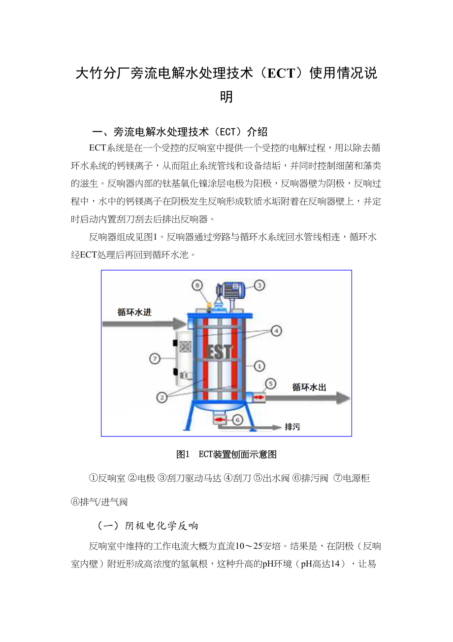 2023年大竹分厂旁流电解水处理技术ECT使用情况说明1.docx_第1页