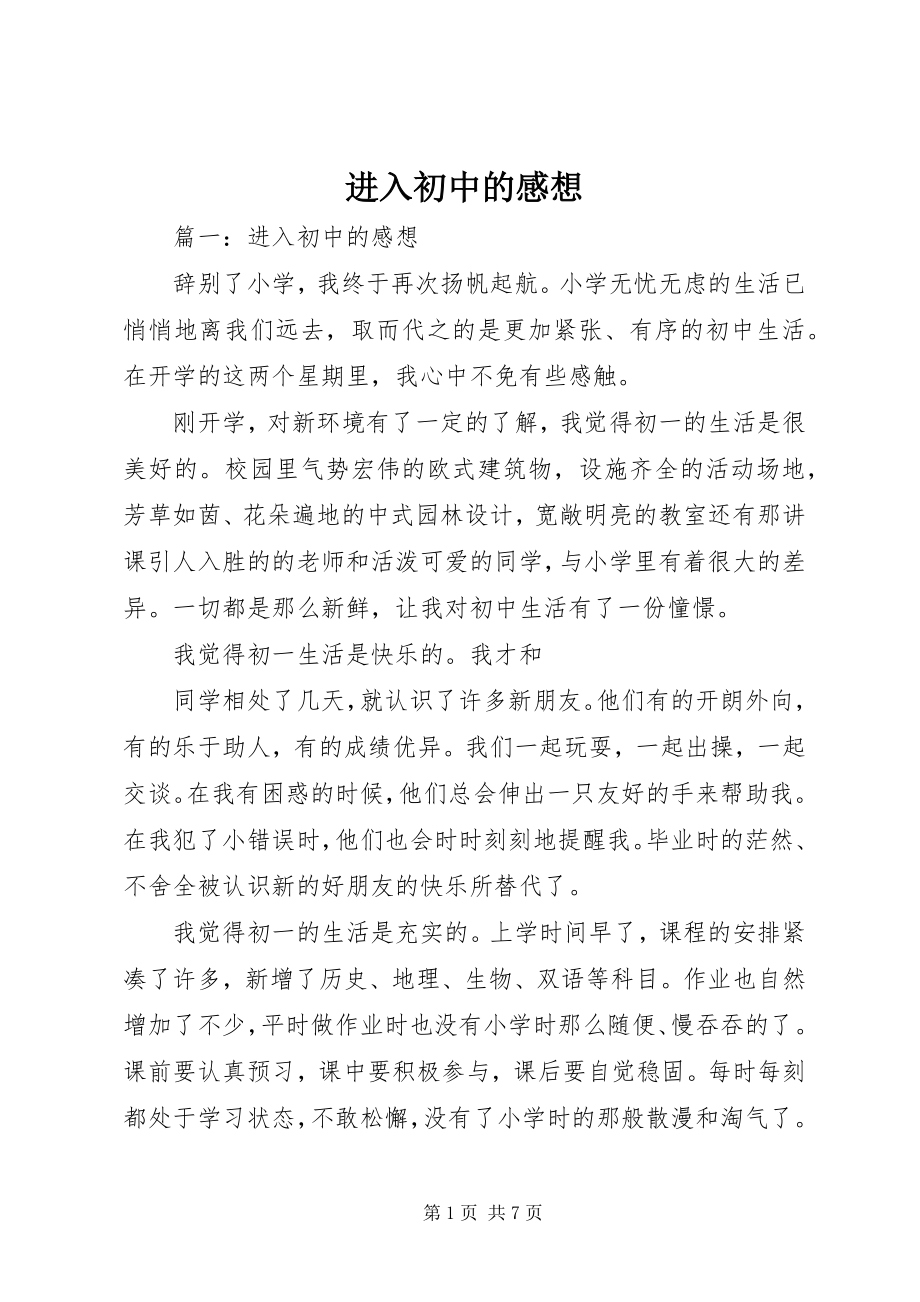 2023年进入初中的感想.docx_第1页