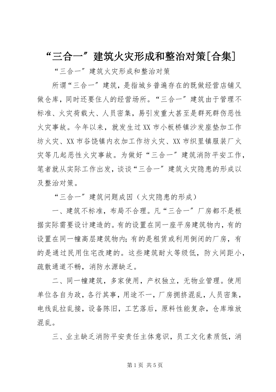 2023年“三合一”建筑火灾形成和整治对策合集新编.docx_第1页