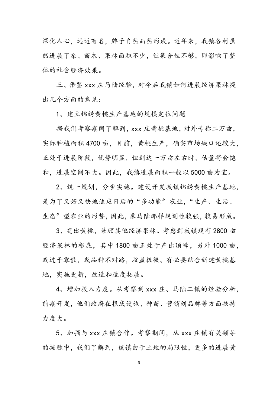 2023年乡镇经济果林考察材料.docx_第3页