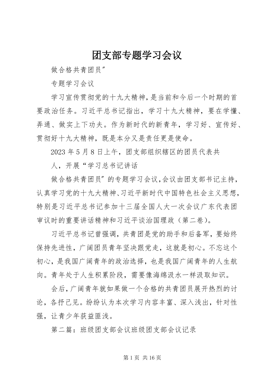 2023年团支部专题学习会议.docx_第1页