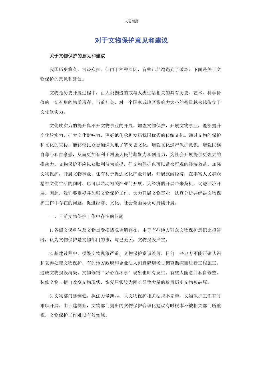 2023年对于文物保护意见和建议.docx_第1页