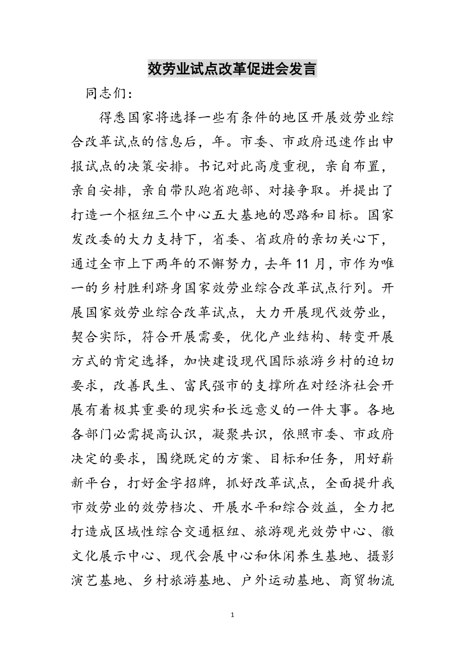 2023年服务业试点改革促进会发言范文.doc_第1页