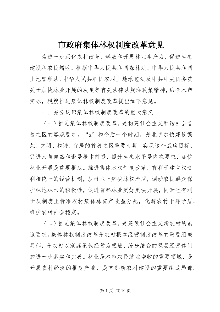 2023年市政府集体林权制度改革意见.docx_第1页