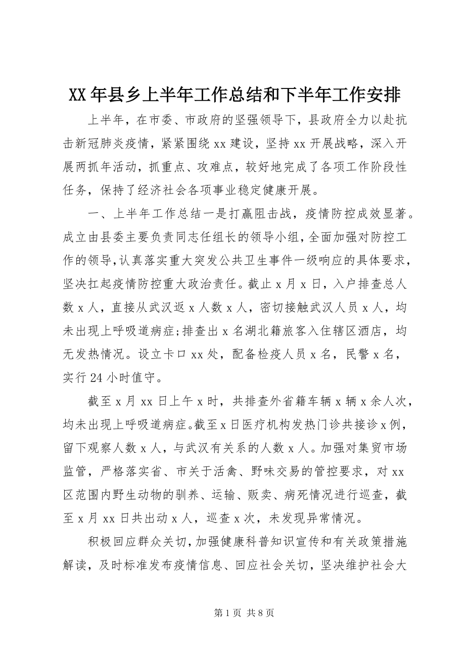 2023年县乡上半年工作总结和下半年工作安排.docx_第1页