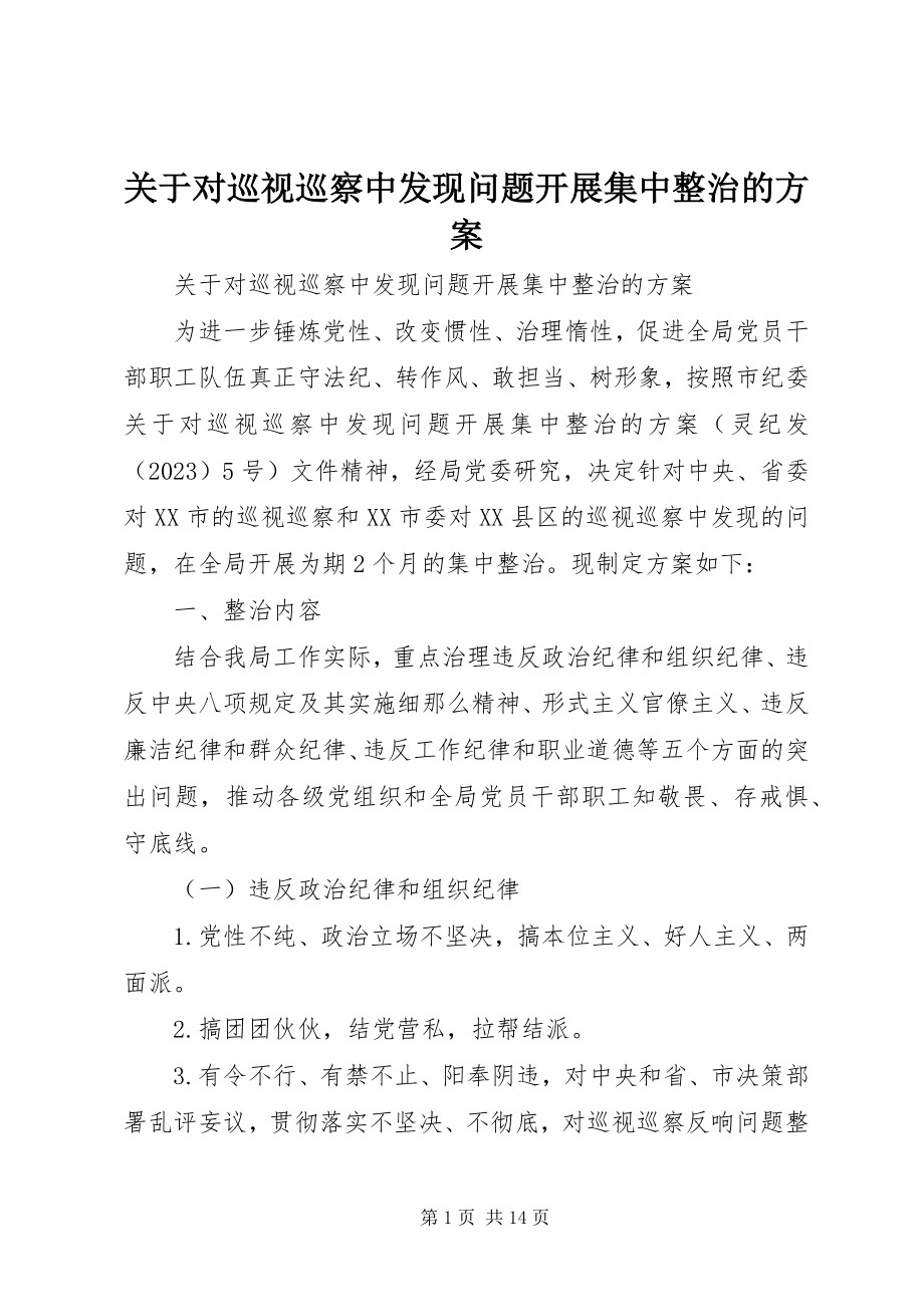 2023年对巡视巡察中发现问题开展集中整治的方案.docx_第1页