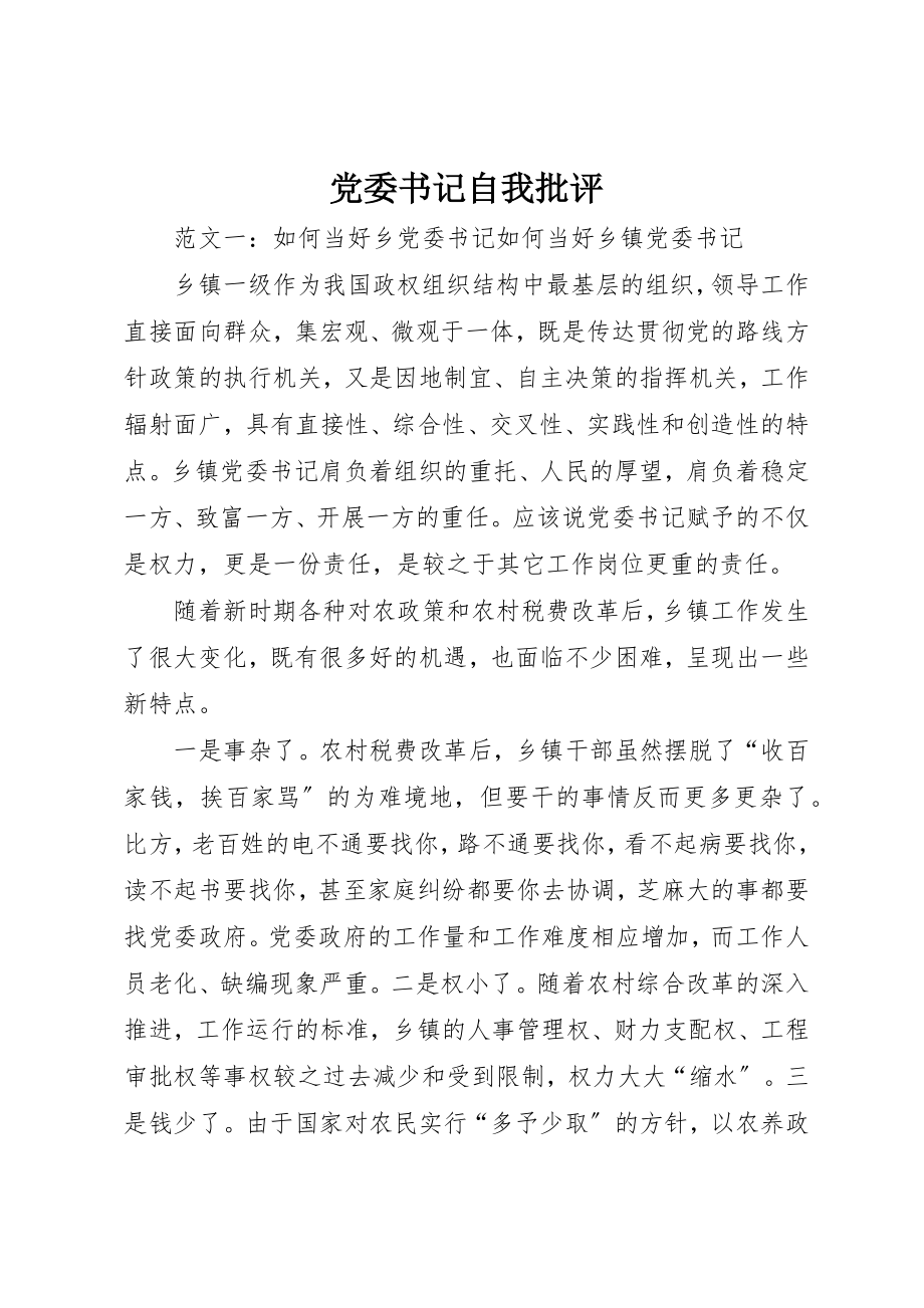 2023年党委书记自我批评.docx_第1页