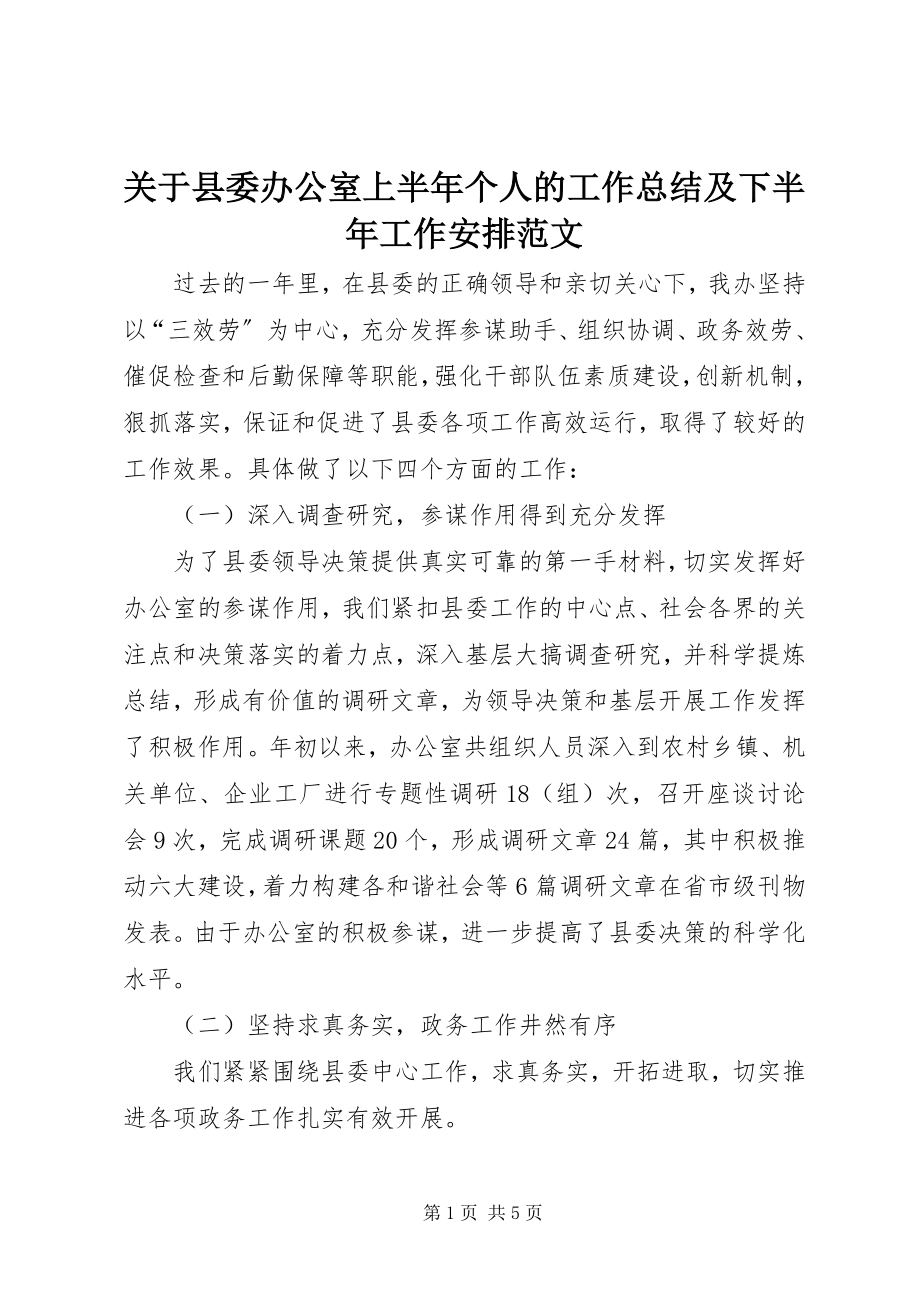 2023年县委办公室上半年个人的工作总结及下半工作安排.docx_第1页