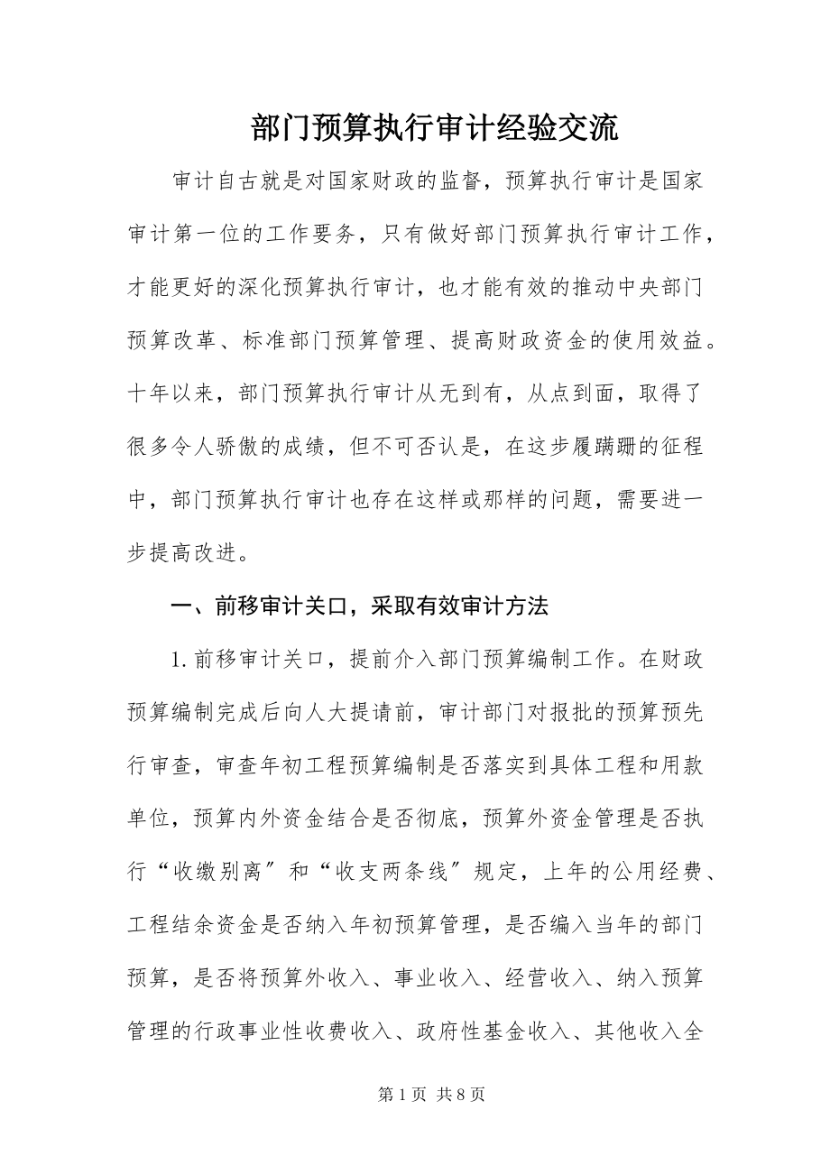 2023年部门预算执行审计经验交流新编.docx_第1页