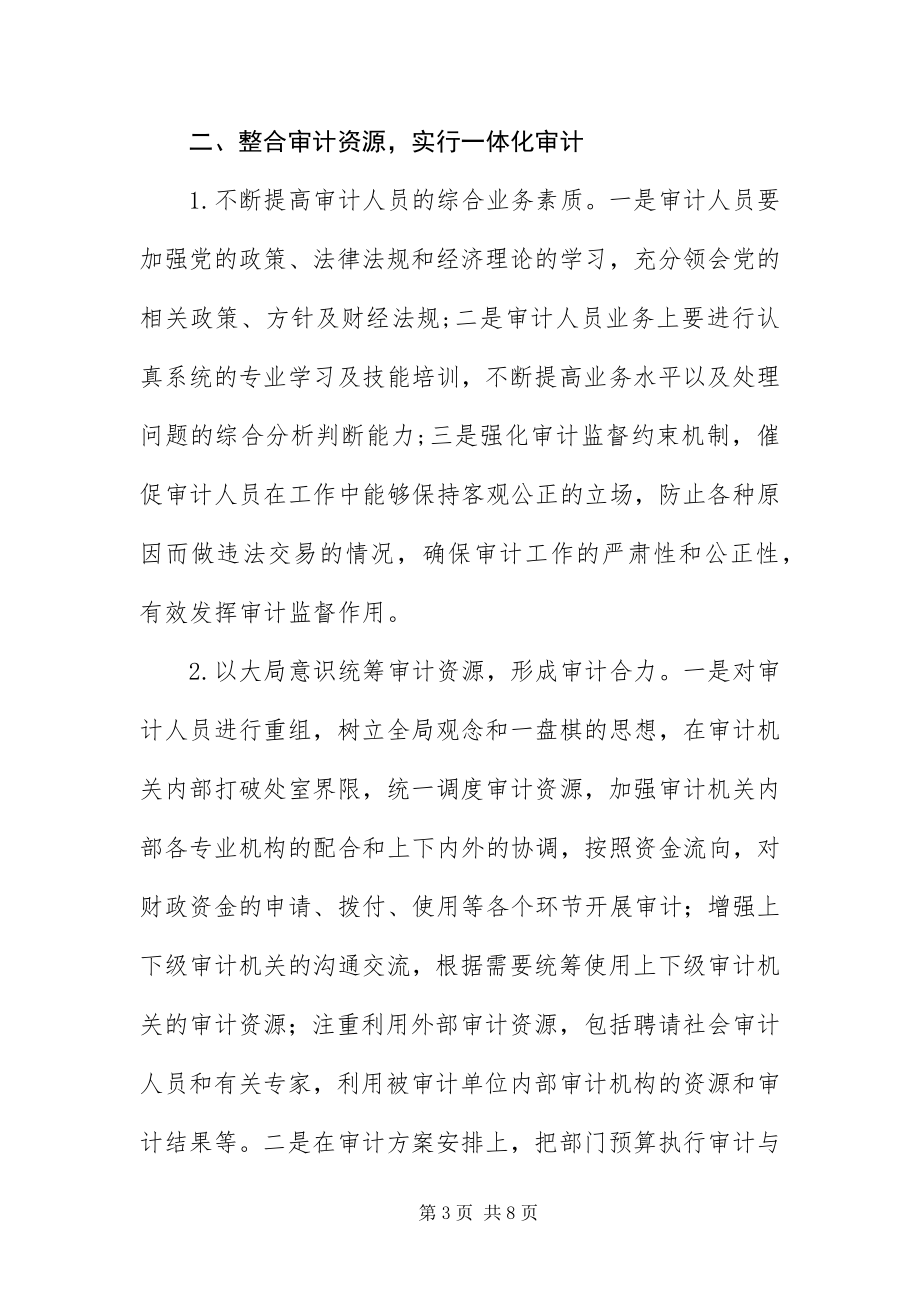 2023年部门预算执行审计经验交流新编.docx_第3页