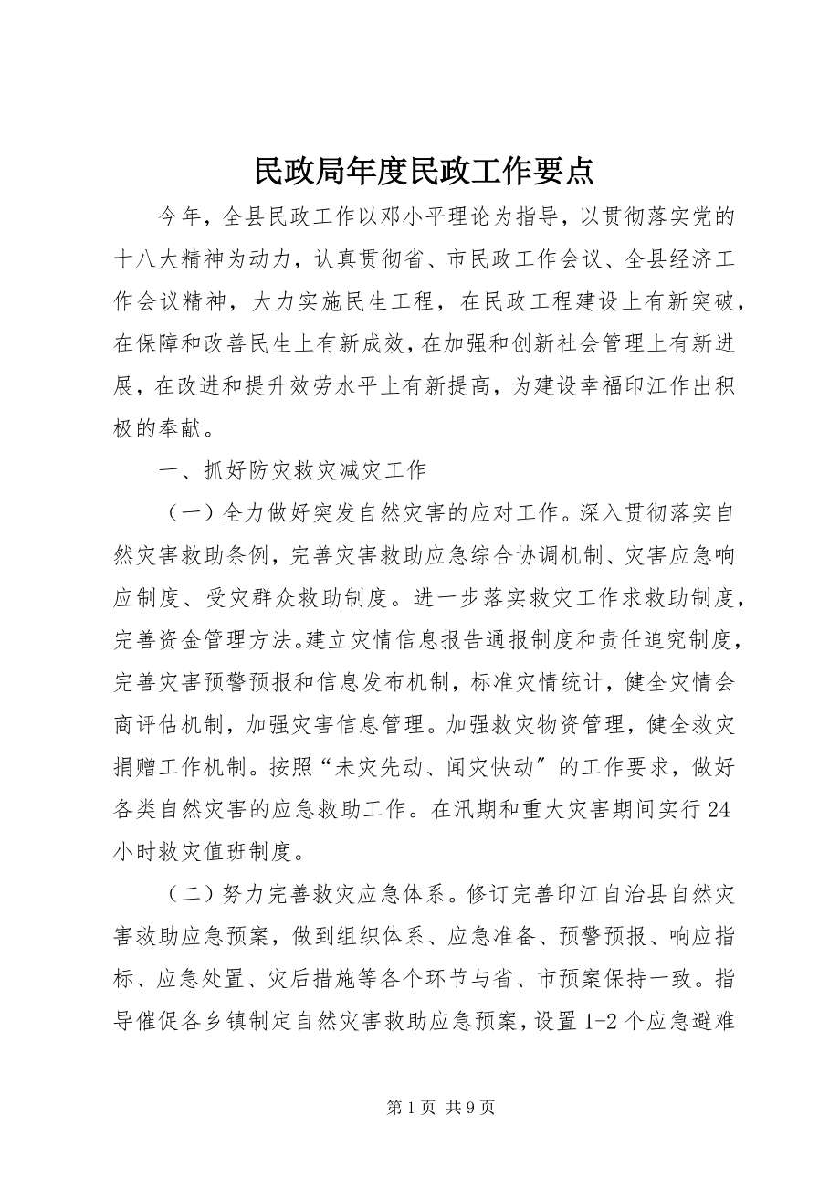 2023年民政局度民政工作要点.docx_第1页