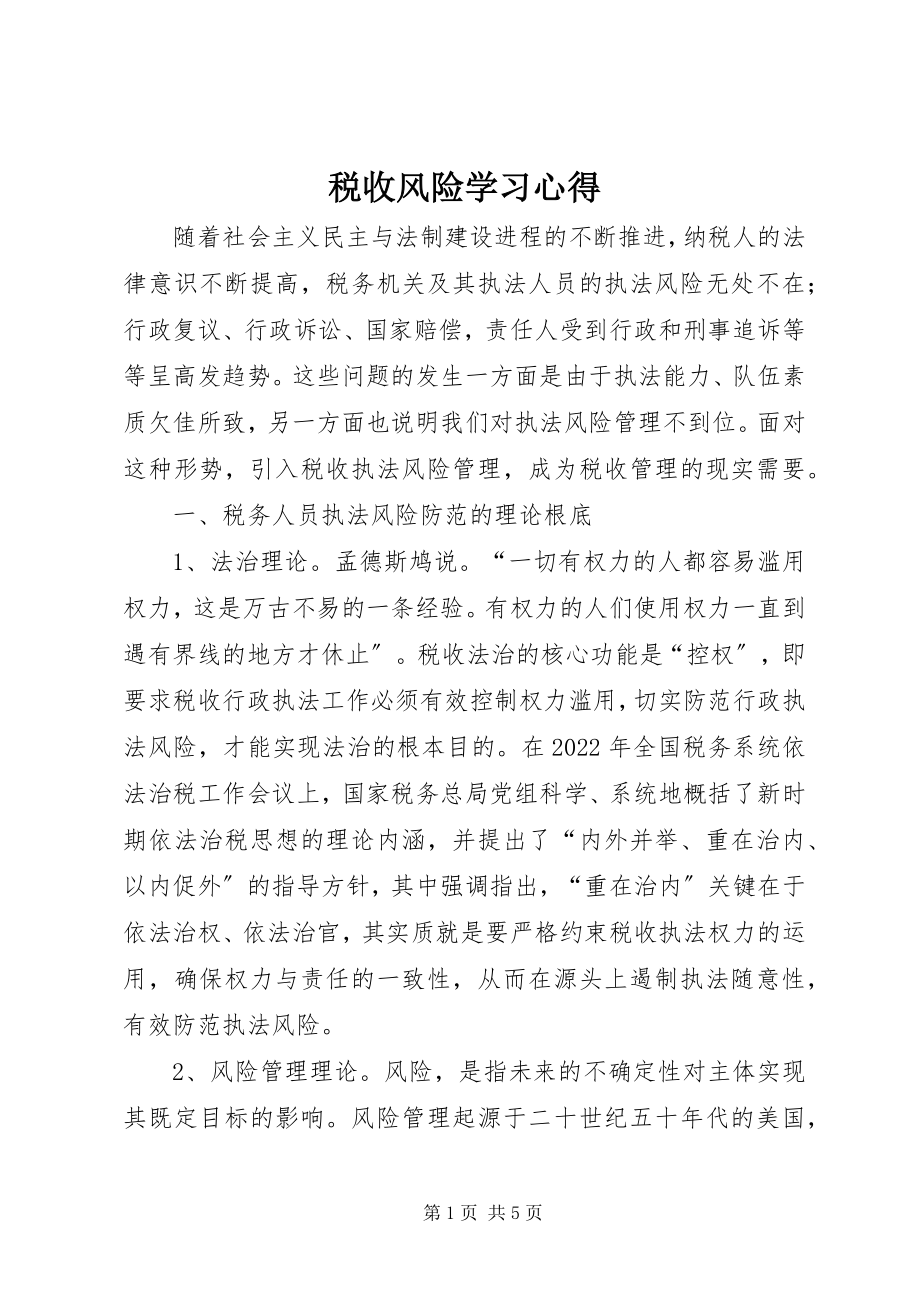 2023年税收风险学习心得.docx_第1页