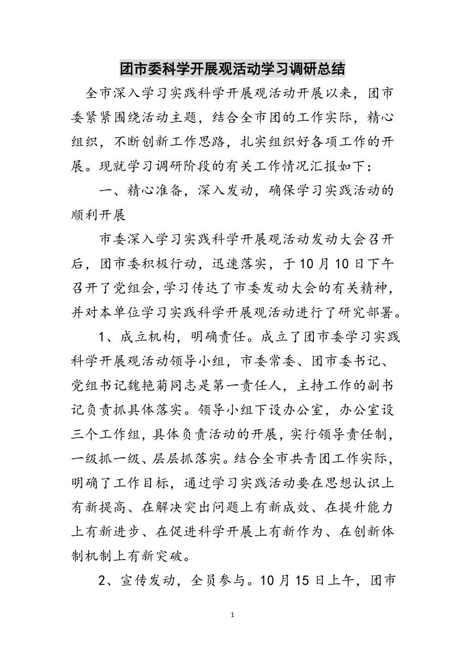 2023年团市委科学发展观活动学习调研总结范文.doc_第1页