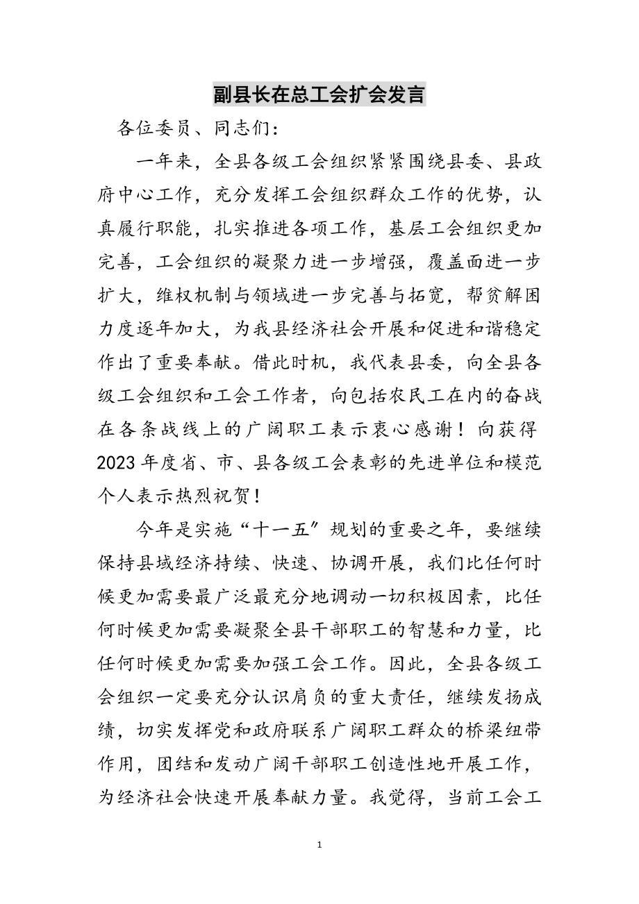 2023年副县长在总工会扩会发言范文.doc_第1页