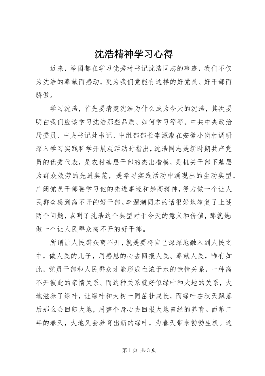 2023年沈浩精神学习心得.docx_第1页