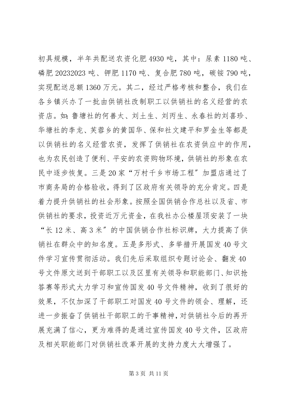 2023年供销社上半年工作总结及下半年工作打算.docx_第3页