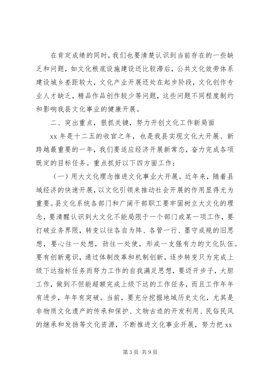 2023年文化工作会议致辞稿.docx_第3页