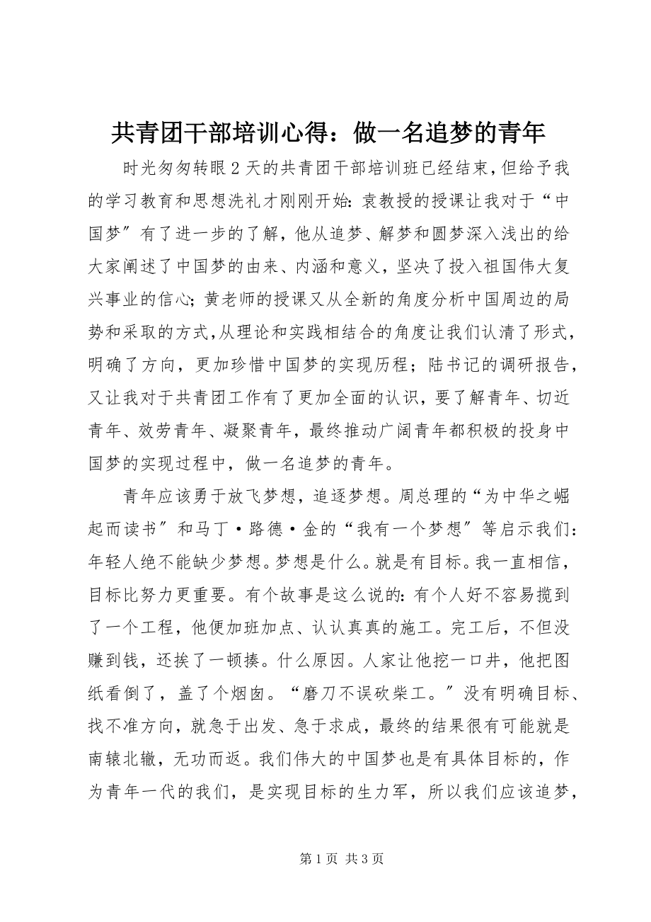 2023年共青团干部培训心得做一名追梦的青年.docx_第1页