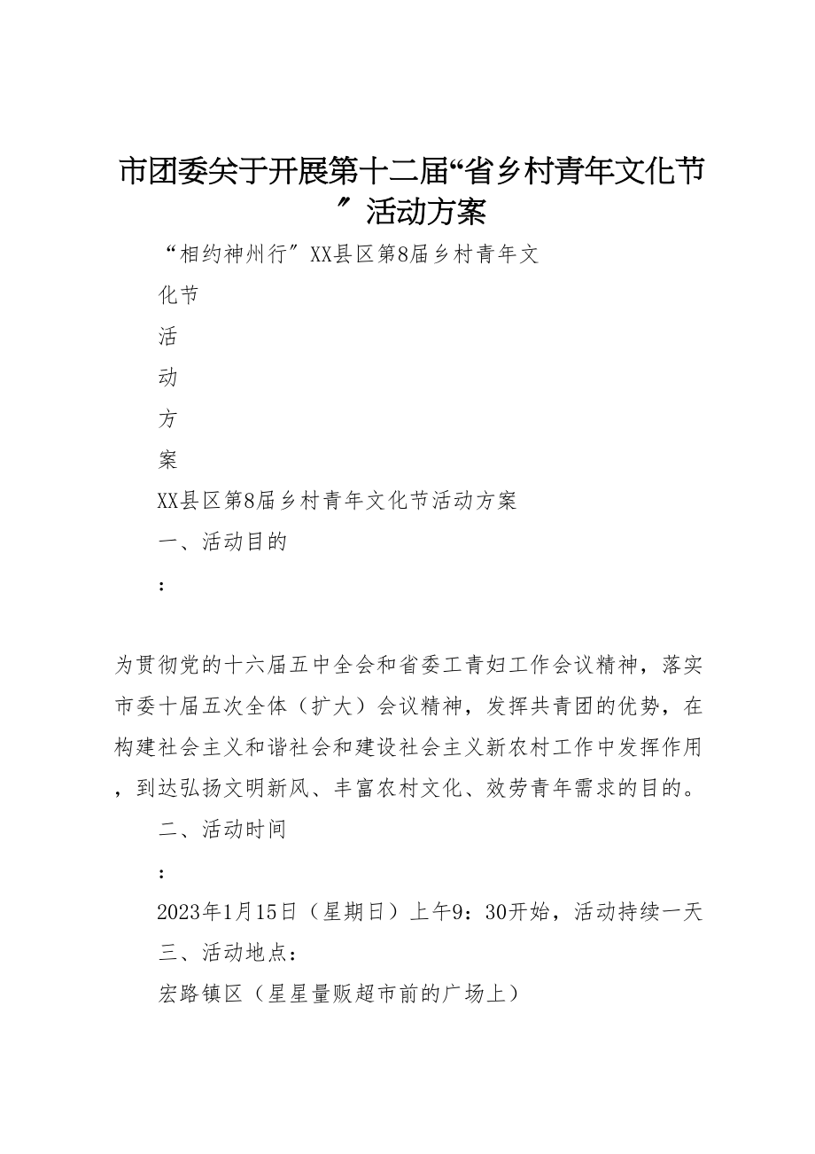 2023年市团委关于开展第十二届省乡村青年文化节活动方案 2.doc_第1页