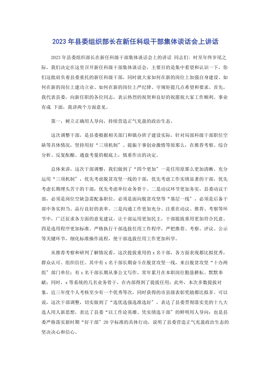 2023年县委组织部长在新任科级干部集体谈话会上讲话.docx_第1页