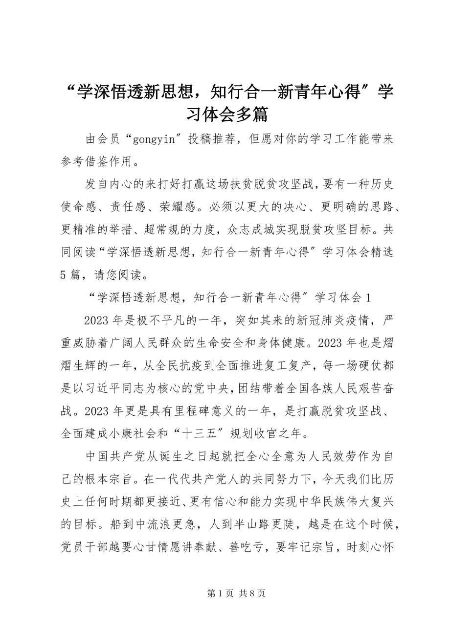 2023年学深悟透新思想知行合一新青年心得学习体会多篇.docx_第1页