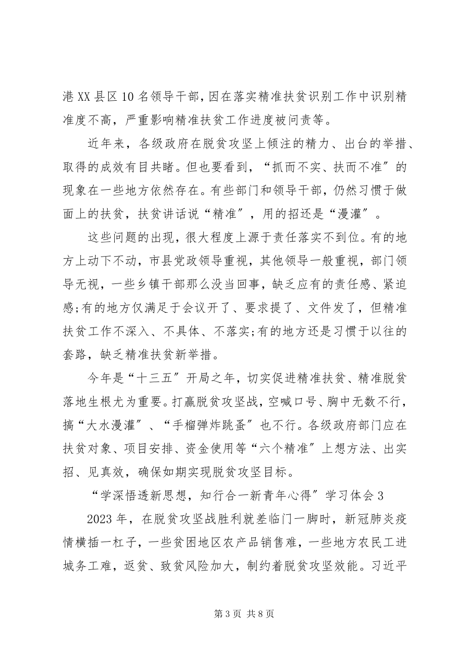 2023年学深悟透新思想知行合一新青年心得学习体会多篇.docx_第3页