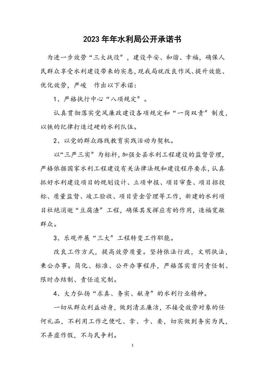 2023年水利局公开承诺书.docx_第1页