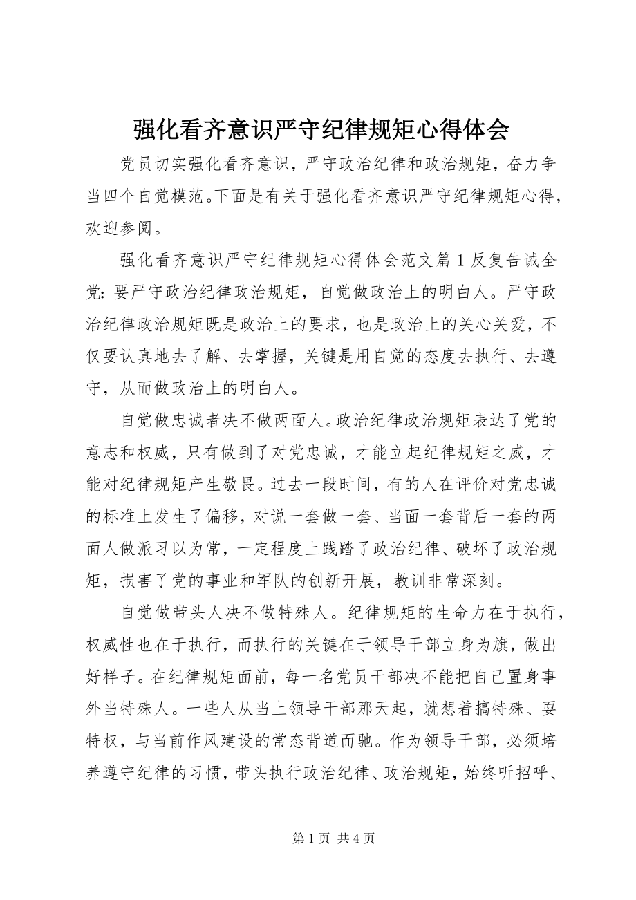 2023年强化看齐意识严守纪律规矩心得体会.docx_第1页