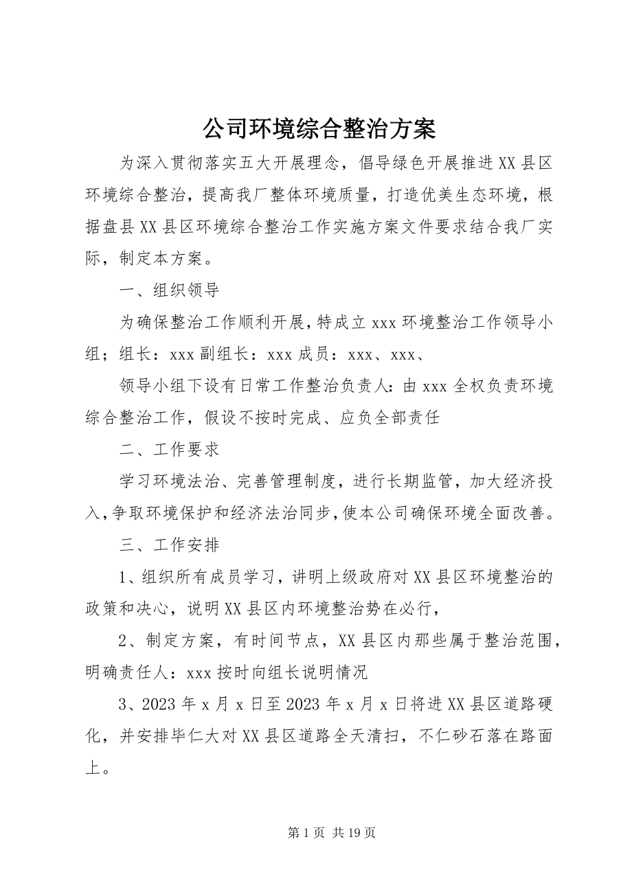 2023年公司环境综合整治方案.docx_第1页