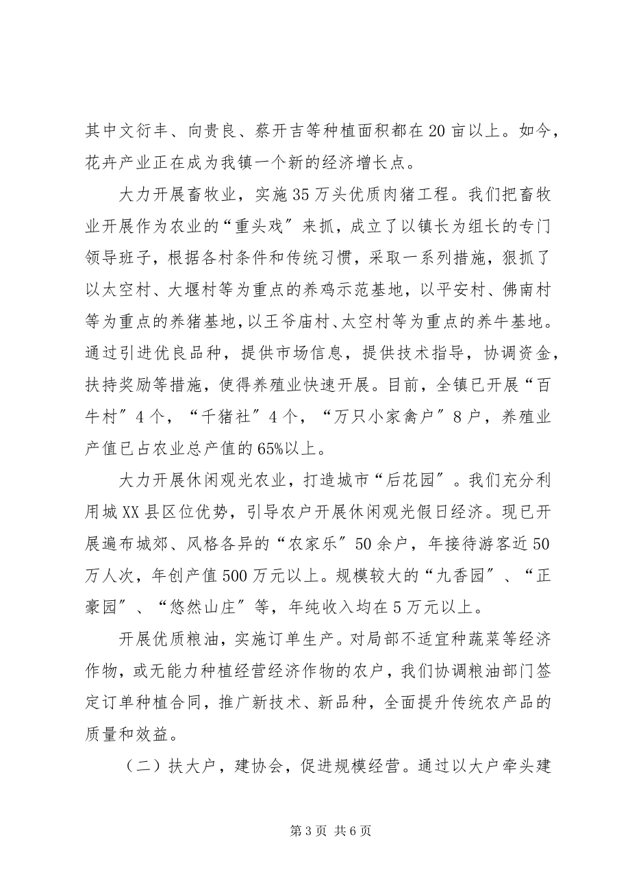 2023年立足创新谋发展打造特色树品牌学习郑局长致辞的心得体会.docx_第3页