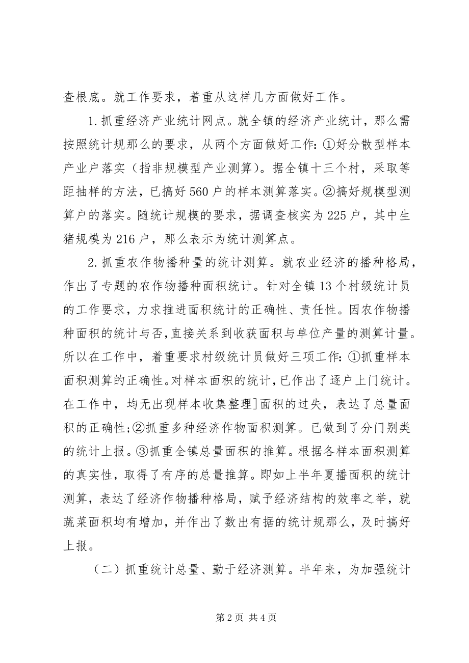 2023年乡镇统计年度个人工作总结.docx_第2页