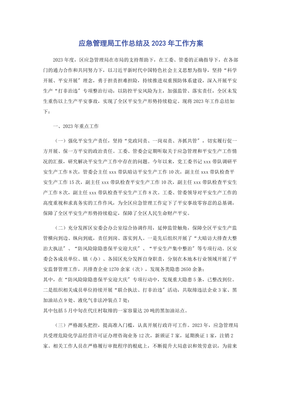 2023年应急管理局工作总结及工作计划.docx_第1页