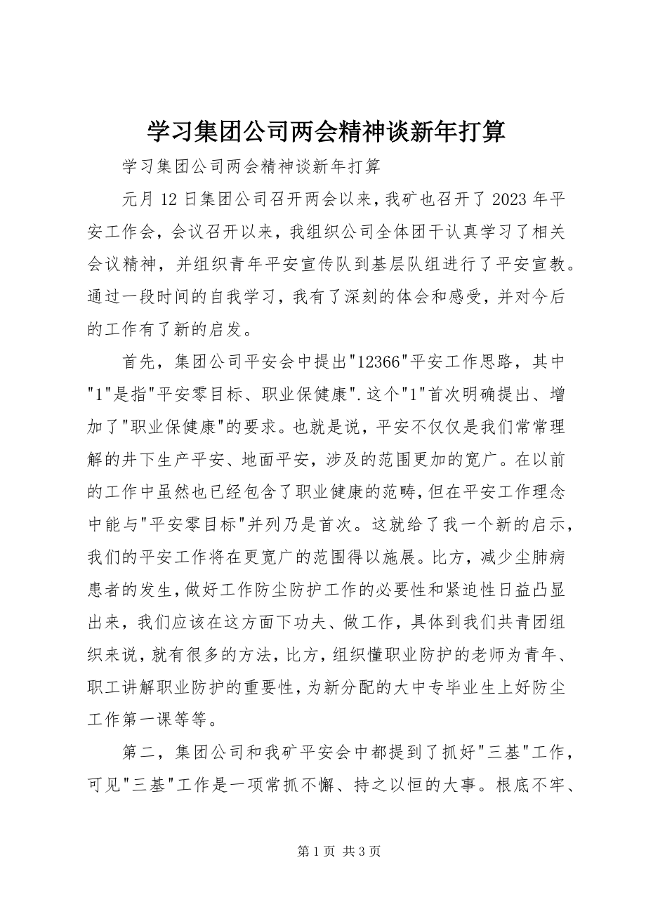 2023年学习集团公司两会精神谈新年打算.docx_第1页