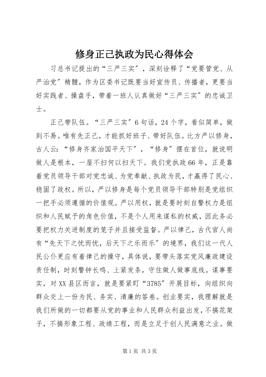 2023年修身正己执政为民心得体会.docx_第1页