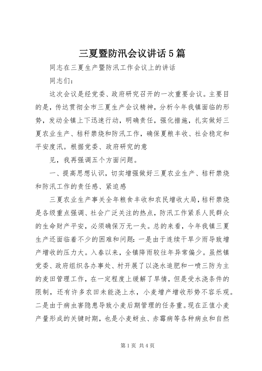 2023年三夏暨防汛会议致辞5篇.docx_第1页