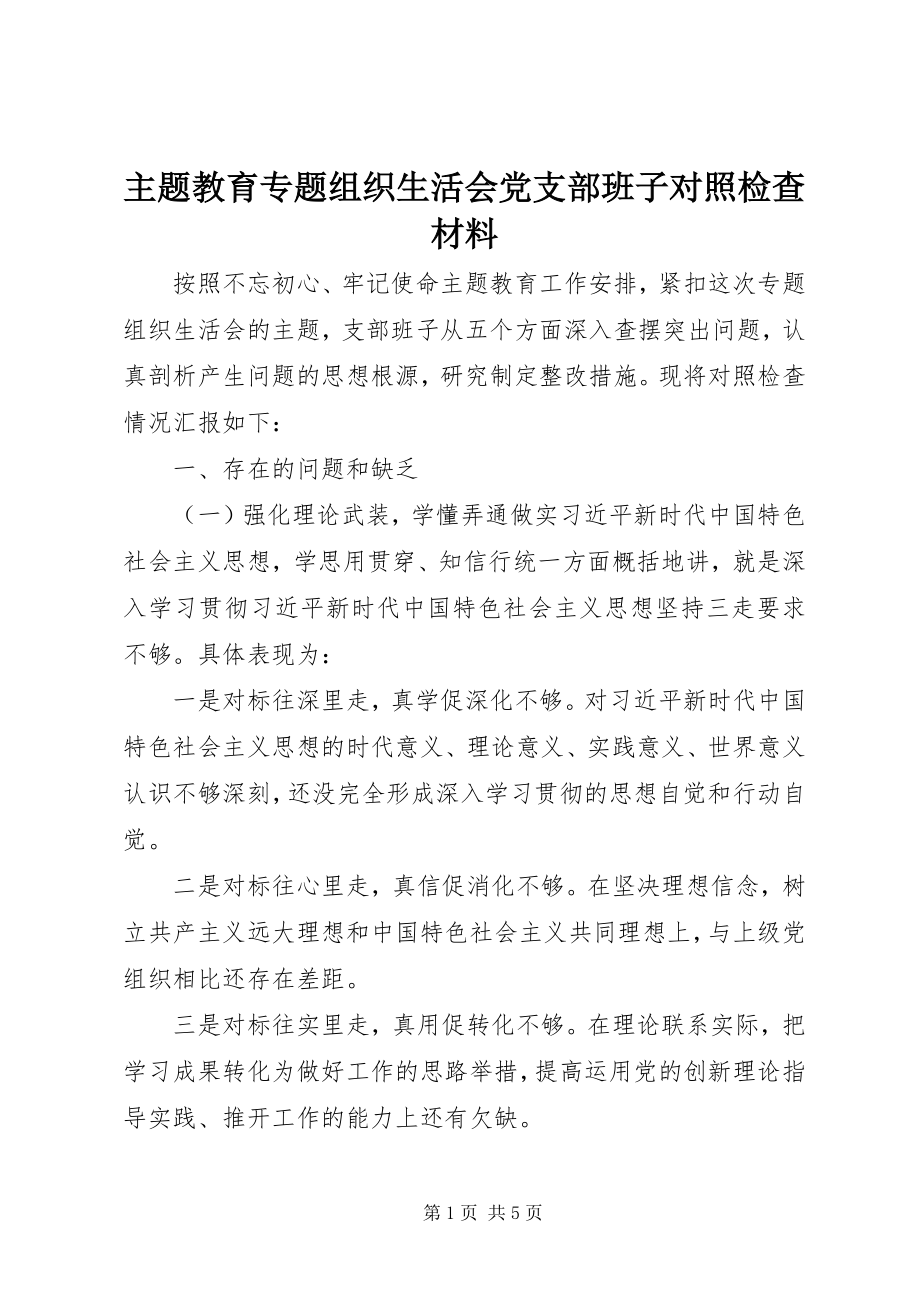 2023年主题教育专题组织生活会党支部班子对照检查材料.docx_第1页