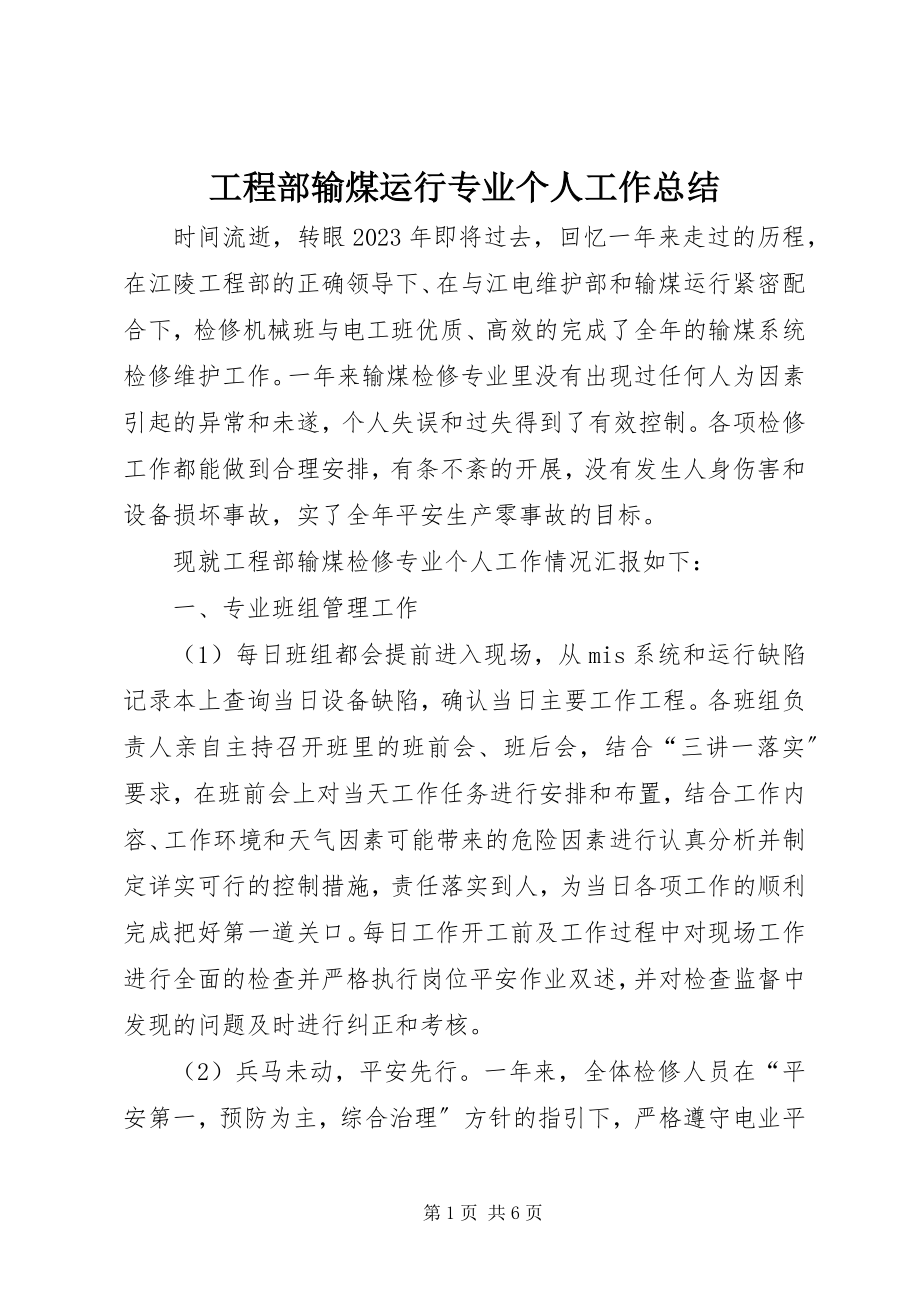 2023年项目部输煤运行专业个人工作总结.docx_第1页