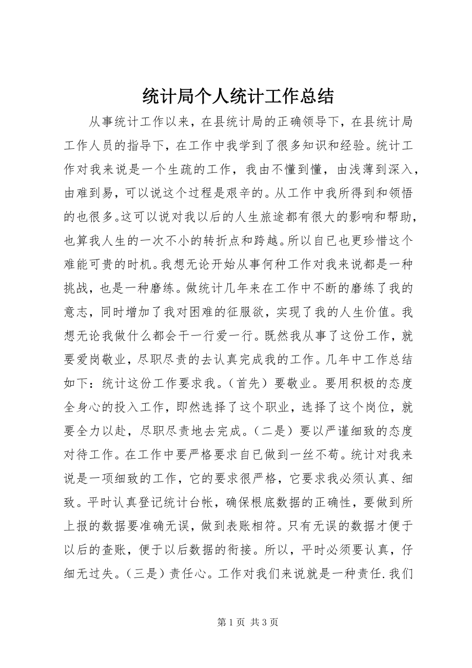 2023年统计局个人统计工作总结.docx_第1页