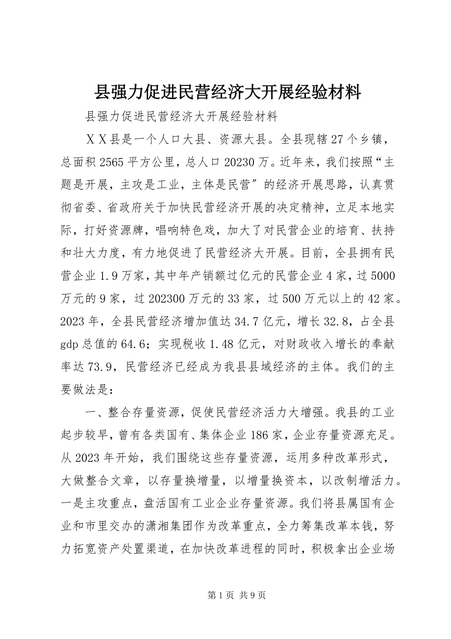 2023年县强力促进民营经济大发展经验材料.docx_第1页